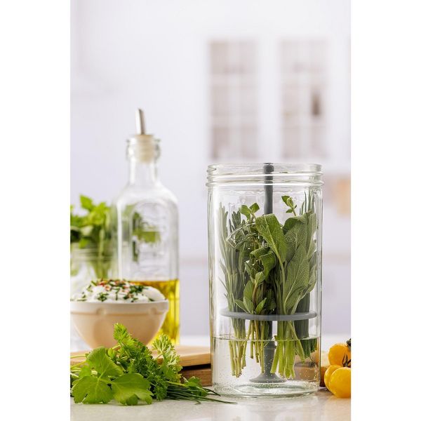 Kilner Fresh Herb Keeper, Glass Herb Storage Jar for Fridge