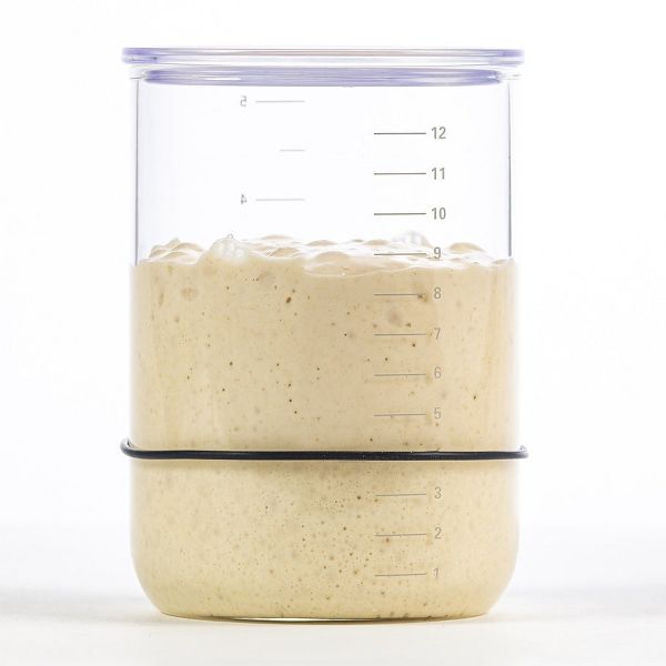 Brod & Taylor Sourdough Starter Jar